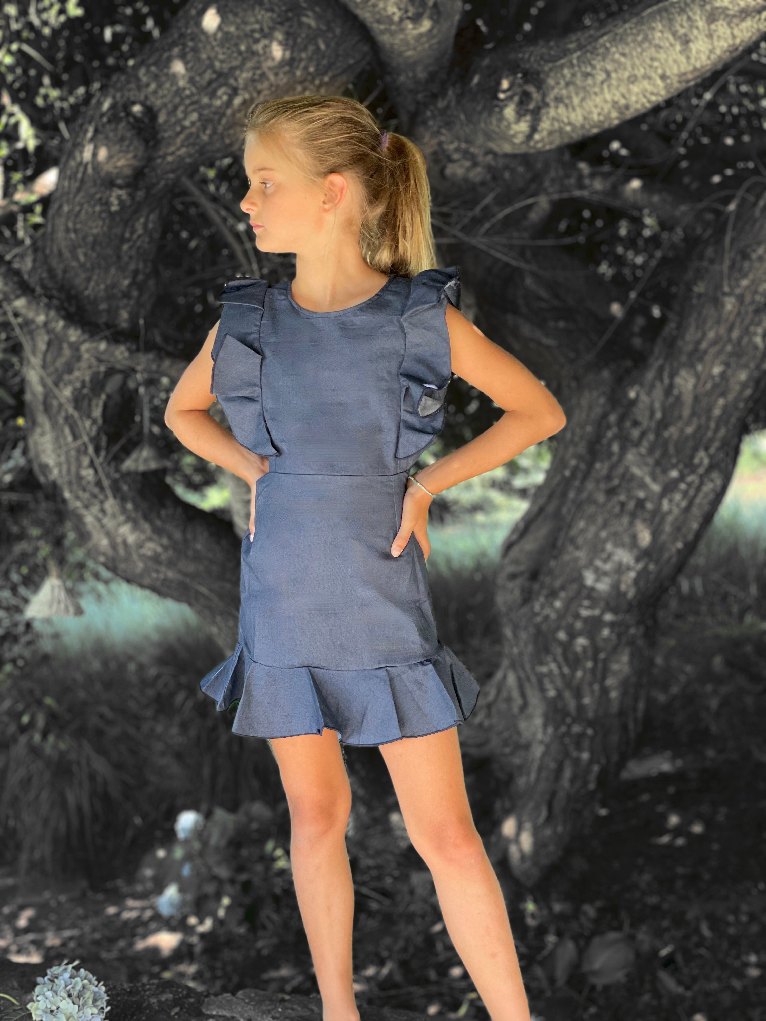 Denim Indigo Ruffle Dress WS