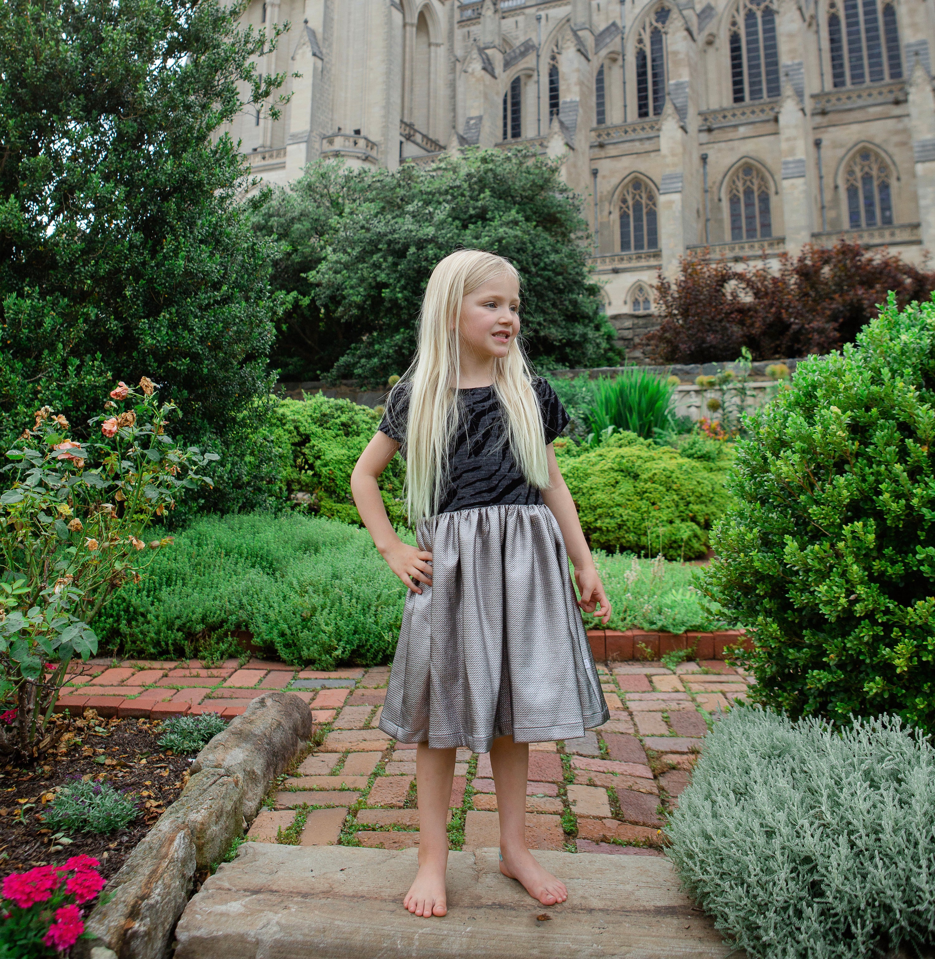 Silver fit and flare dress