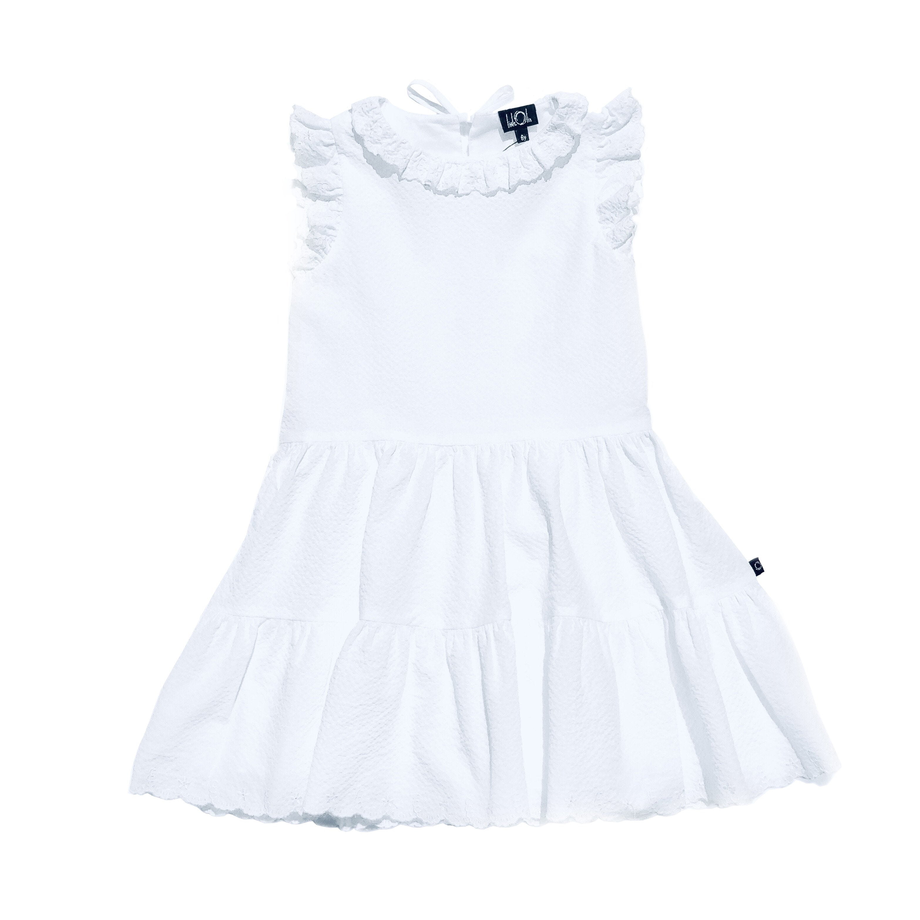 Embroidered Ruffle Dress