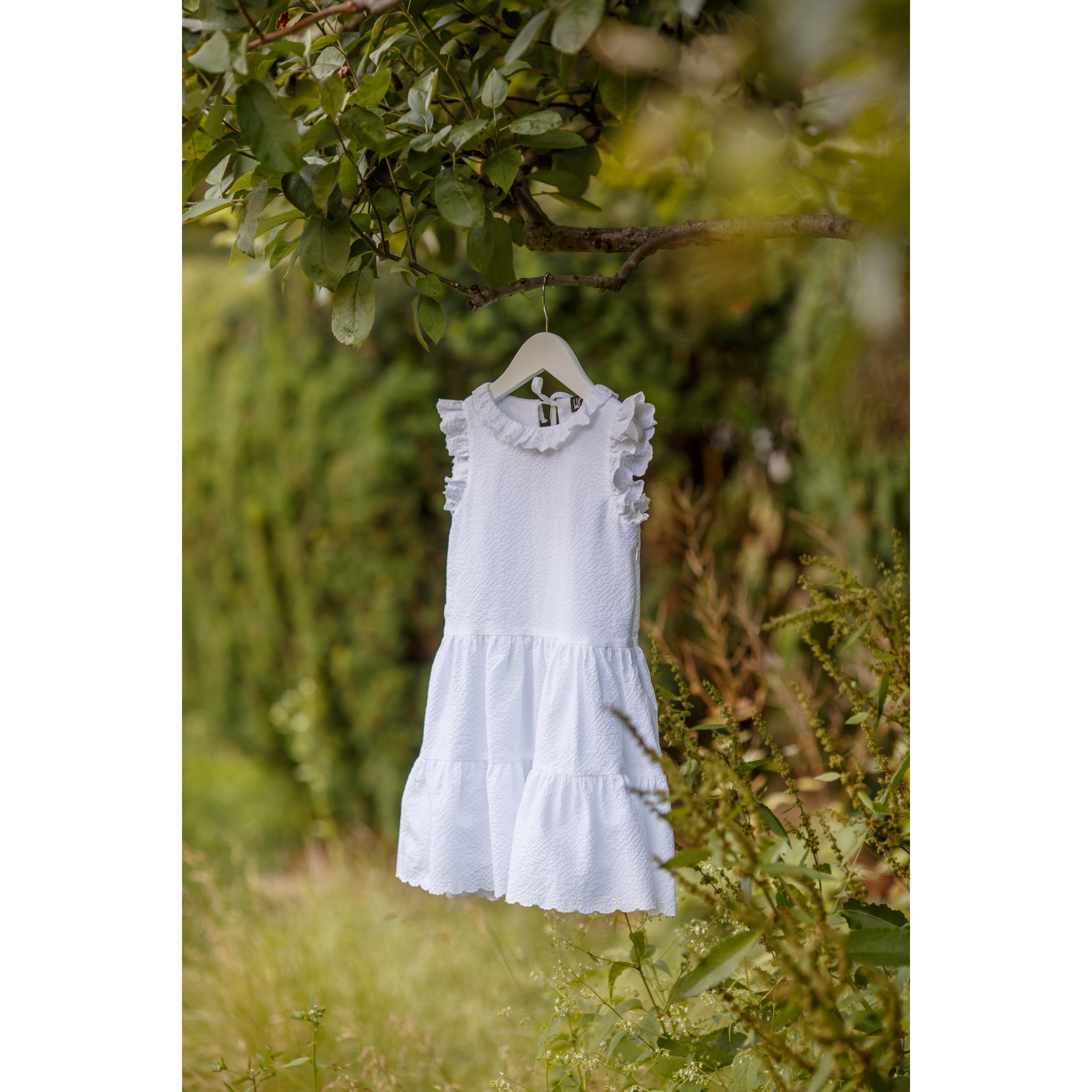 Embroidered Ruffle Dress