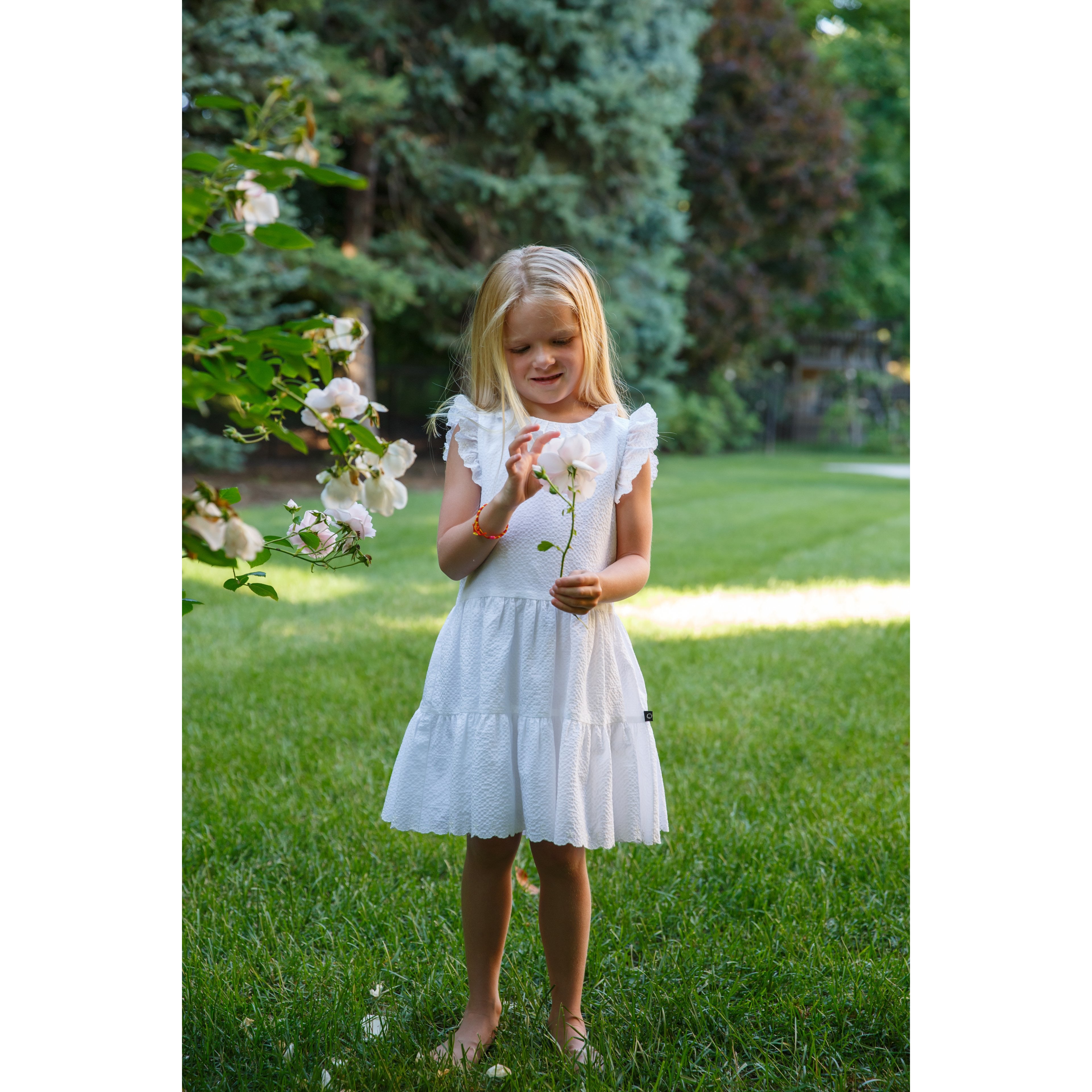 Embroidered Ruffle Dress